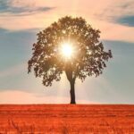 دانلود آهنگ عمر و جون من تو همه وجود من تو – هوش مصنوعی